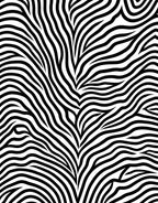 Bold Black White Organic Waves Rug