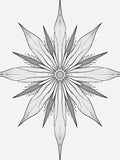 Monochromatic Intricate Starburst Rug