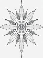 Monochromatic Intricate Starburst Rug