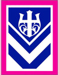 Bold Blue White Crest Chevron Rug