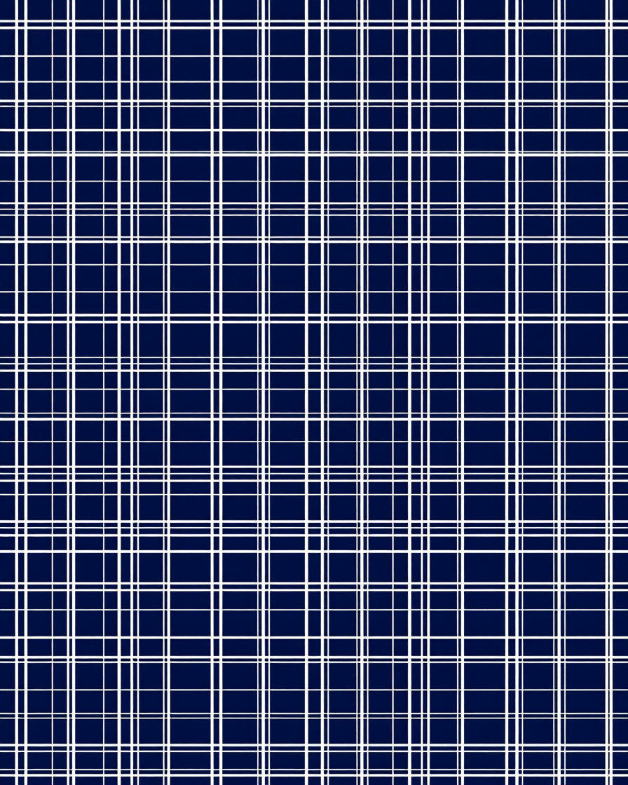 Deep Blue White Plaid Lines Rug