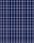 Deep Blue White Plaid Lines Rug
