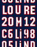 Bold Navy White Letter Number Rug