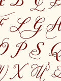 Crimson Script Alphabet Collage Rug
