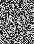 Black White Organic Flow Rug