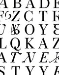 Classic Alphabet Typography Black White Rug