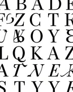 Classic Alphabet Typography Black White Rug