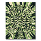 Modern Sage Burst Geometric Star Rug