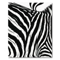 Bold Monochromatic Zebra Stripe Rug