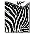 Bold Monochromatic Zebra Stripe Rug