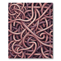 Orchid Mauve Interwoven Loops Rug
