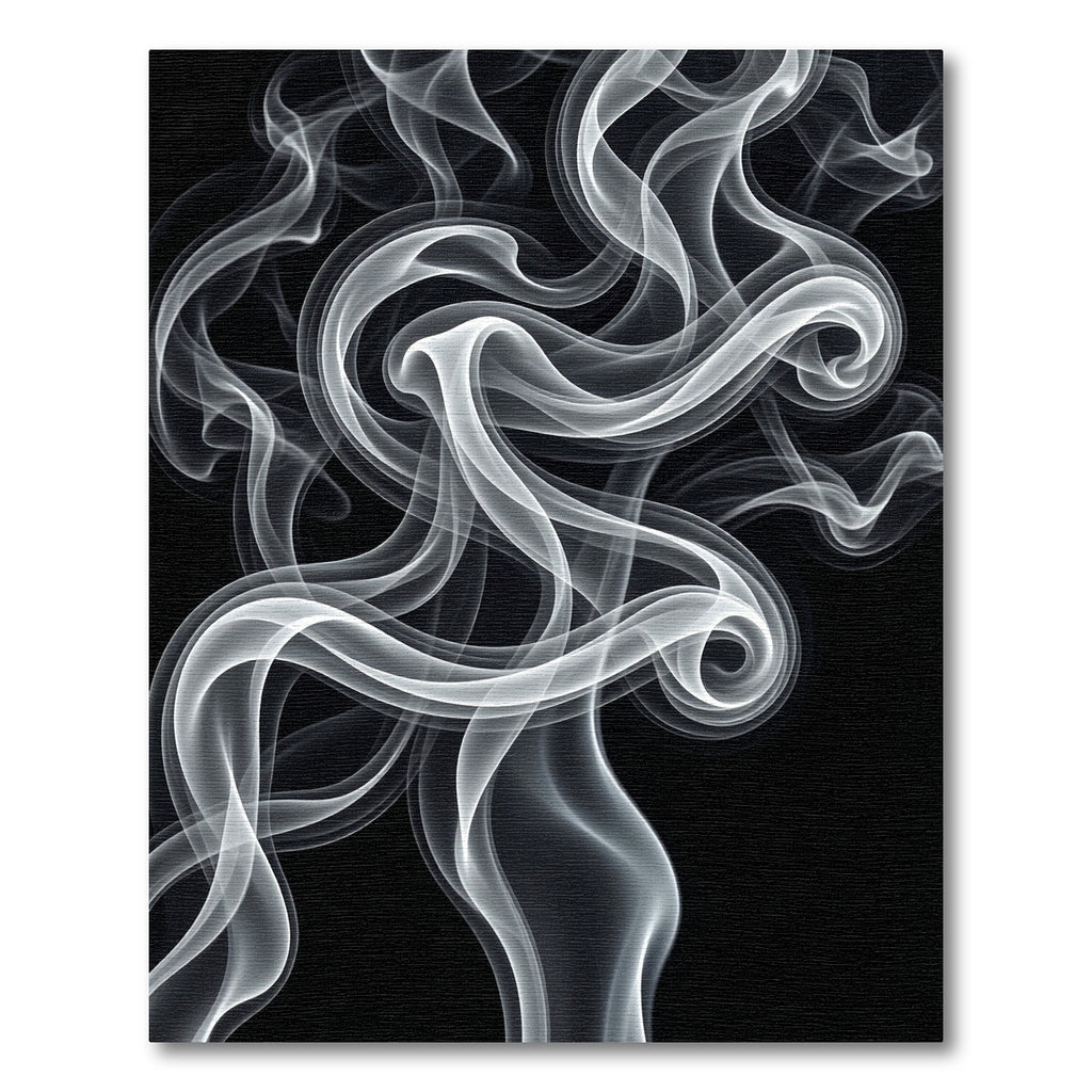 Ethereal Monochrome Fluid Smoke Swirl Rug
