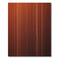Warm Orange Vertical Stripe Rug
