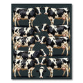 Black and White Holstein Cow Herd Rug