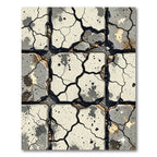 Cracked Stone Pavement Grayscale Detail Rug