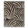Safari Zebra Stripe Curve Rug