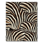 Safari Zebra Stripe Curve Rug