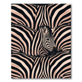 Bold Monochrome Zebra Stripe Illusion Rug