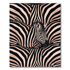 Bold Monochrome Zebra Stripe Illusion Rug