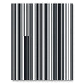Minimalist Monochrome Vertical Bar Stripe Rug