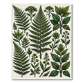 Lush Green Botanical Forest Ferns Rug