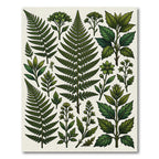 Lush Green Botanical Forest Ferns Rug