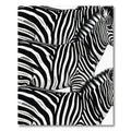 Black White Zebra Stripe Composition Rug
