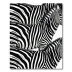 Black White Zebra Stripe Composition Rug