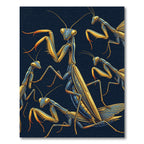 Golden Mantis Blue Entomology Illustration Rug