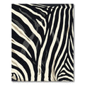Bold Black Cream Animal Stripes Rug