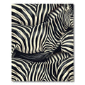 Monochromatic Zebra Stripe Arrangement Rug
