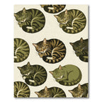 Sleeping Tabby Cat All Over Rug