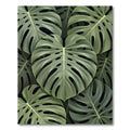 Lush Green Botanical Monstera Leaves Rug