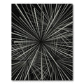 Monochrome Abstract Geometric Starburst Burst Rug