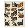 Playful Tabby Cat Illustration Collection Rug