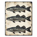 Vintage Gray Pike Fish Illustration Rug