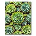 Lush Succulent Garden Botanical Art Rug