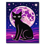 Black Cat Pink Moon Starry Night Rug