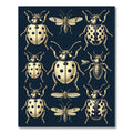 Gold Ladybug Entomological Cream Navy Illustration Rug