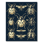 Gold Ladybug Entomological Cream Navy Illustration Rug