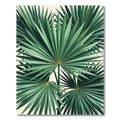 Lush Green Tropical Palm Fronds Rug